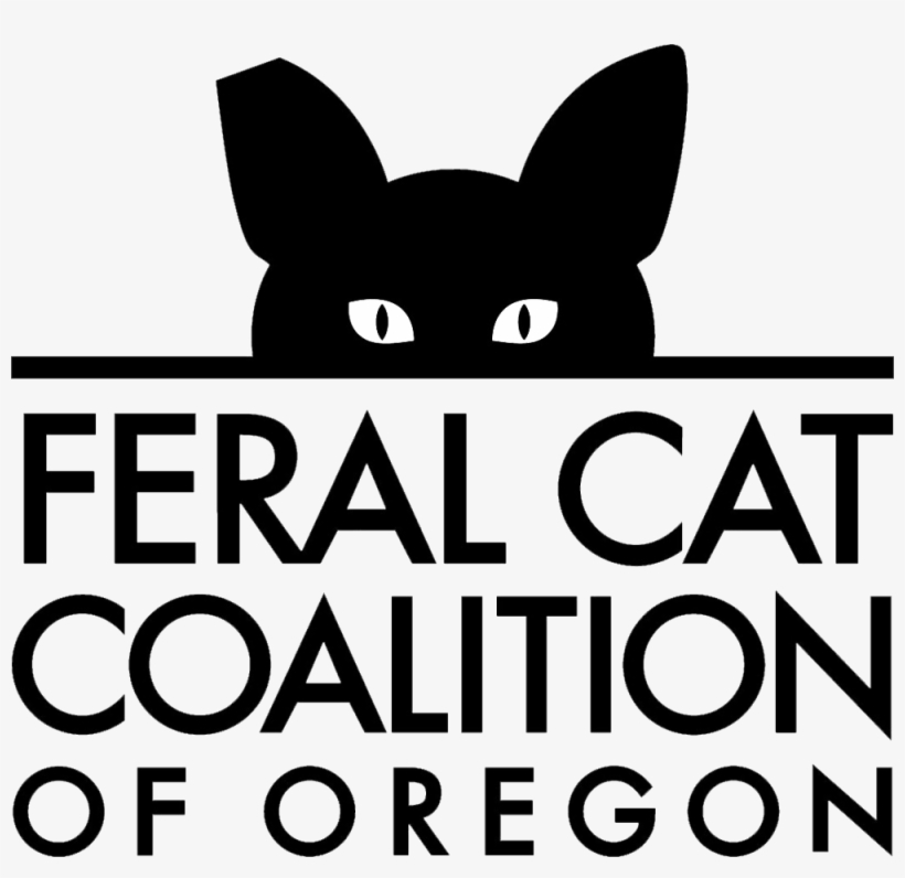 Download - Feral Cat Coalition Of Oregon, transparent png #5959573