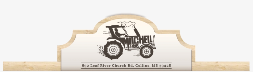 Pumpkin Patch, Wagon Rides, Family Fun And School Tours - Mitchell Farms, transparent png #5961434