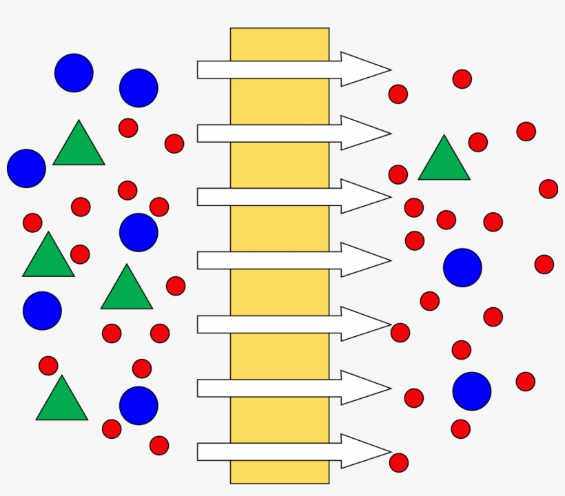 File - Dead-end - Svg - Mechanism Of Membrane Separation, transparent png #5965036