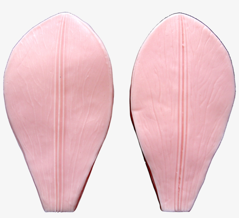 Tiger Lily - Plywood, transparent png #5965134