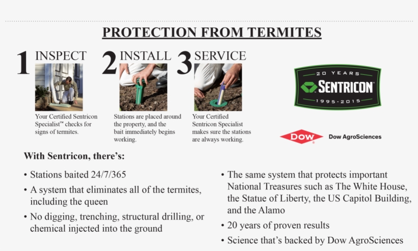 Termites Termite Repellent Bayer Killer Home Depot - Sentricon, transparent png #5966517