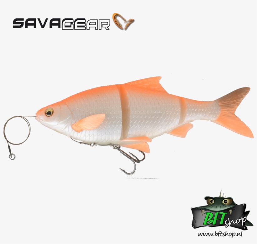 Savage Gear 3d Line Thru Roach 18cm Ms - Savage Gear 3d Linethru Roach, transparent png #5968683