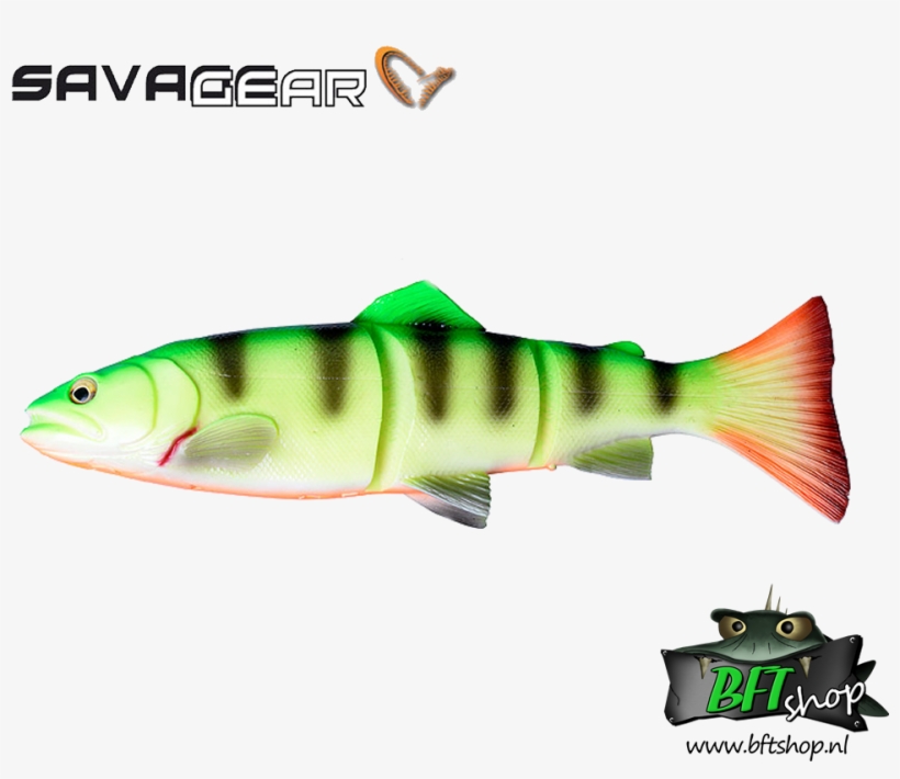 Savage Gear 3d Line-thru Trout - Savage Gear 3d Line Thru Trout, transparent png #5968727