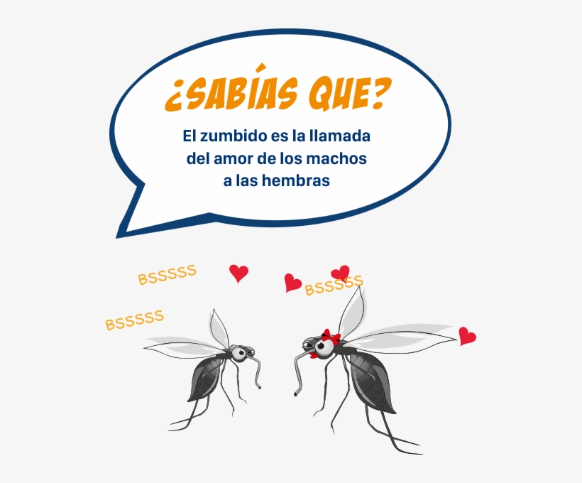 ¿sabías Que, transparent png #5968870