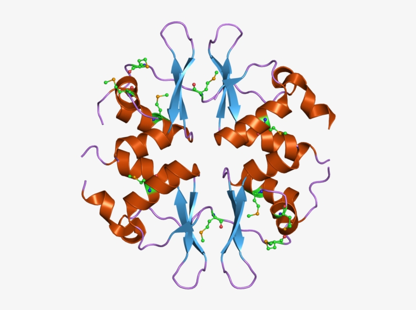 Pdb 2nye Ebi - Structure Of Clcn1 Protein, transparent png #5970054