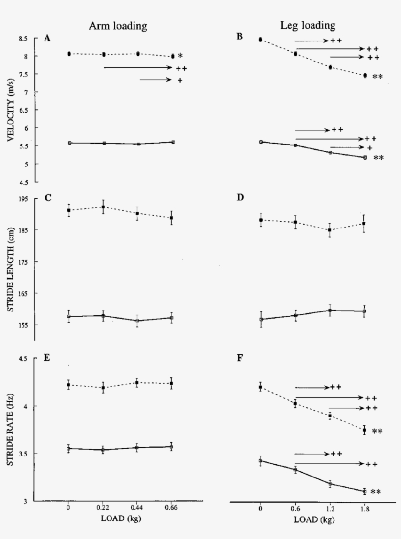 E€ects Of Arm And Leg Loading (right Hand Graphs) On - Document, transparent png #5970170