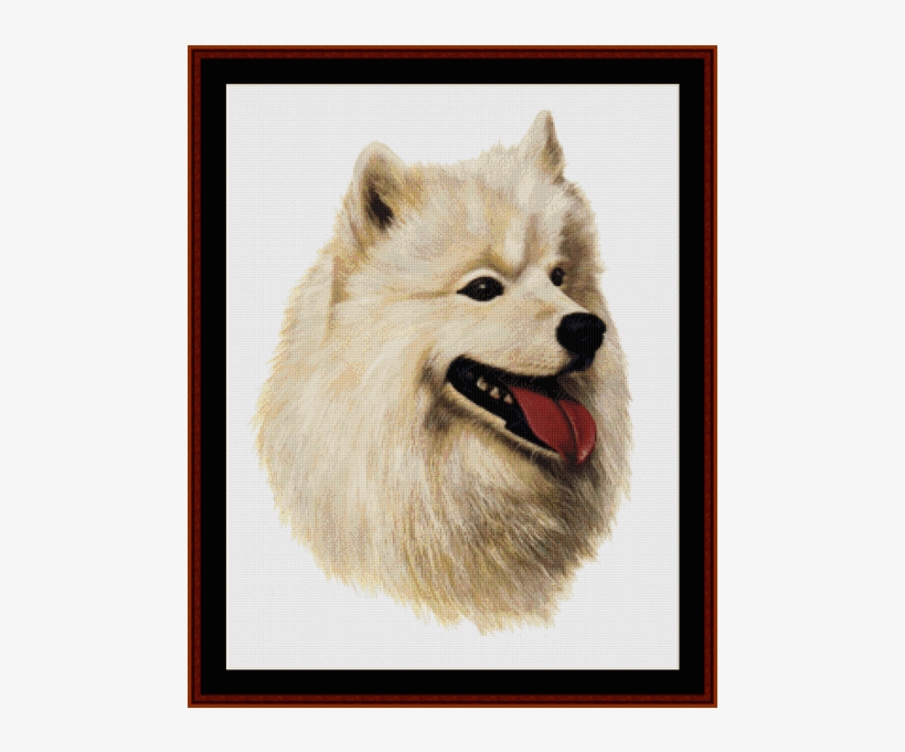 May Cross Stitch Pattern By Cross Stitch Collectibles - Samoyed Robert J May, transparent png #5970652