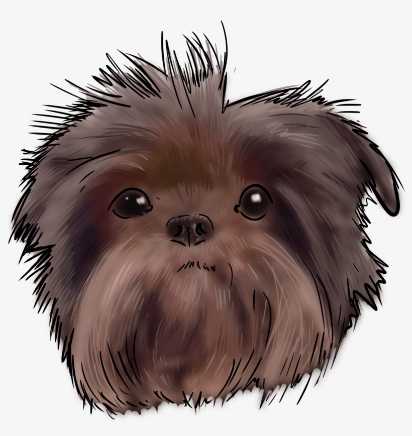 59 Why Are You An Affenpinscher - Affenpinscher, transparent png #5970809