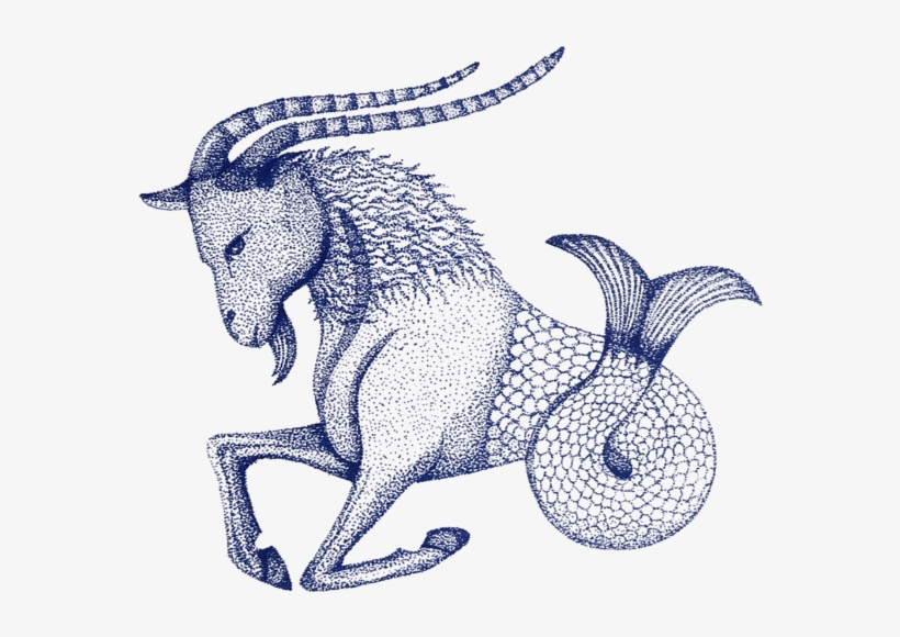 Aries - Drawing Of A Capricorn, transparent png #5972362