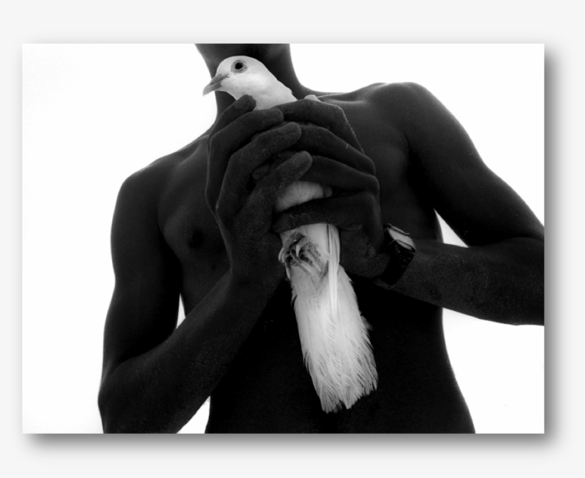 Dove - Human, transparent png #5973640