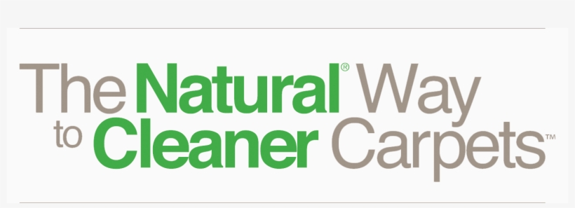 Carpet Cleaning, Upholstery Cleaners & Water Damage - Camtasia Studio 7, transparent png #5974538