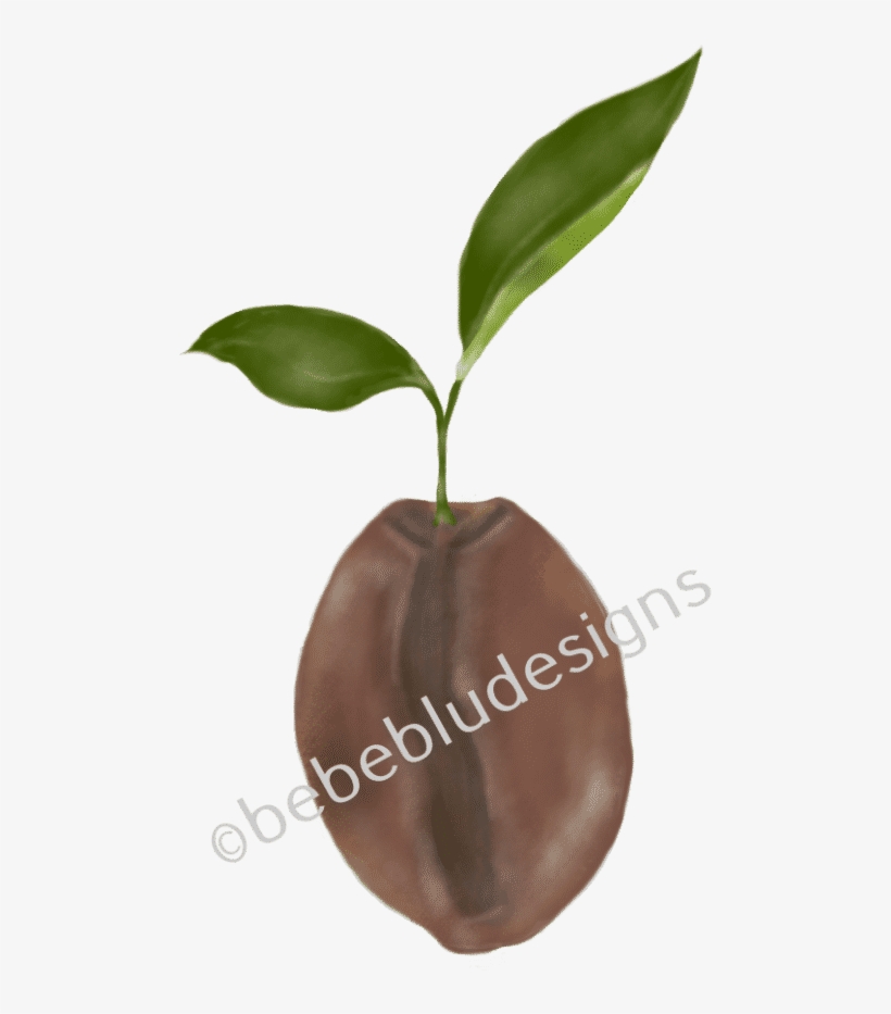 Coffee Bean - Lighter, transparent png #5976044