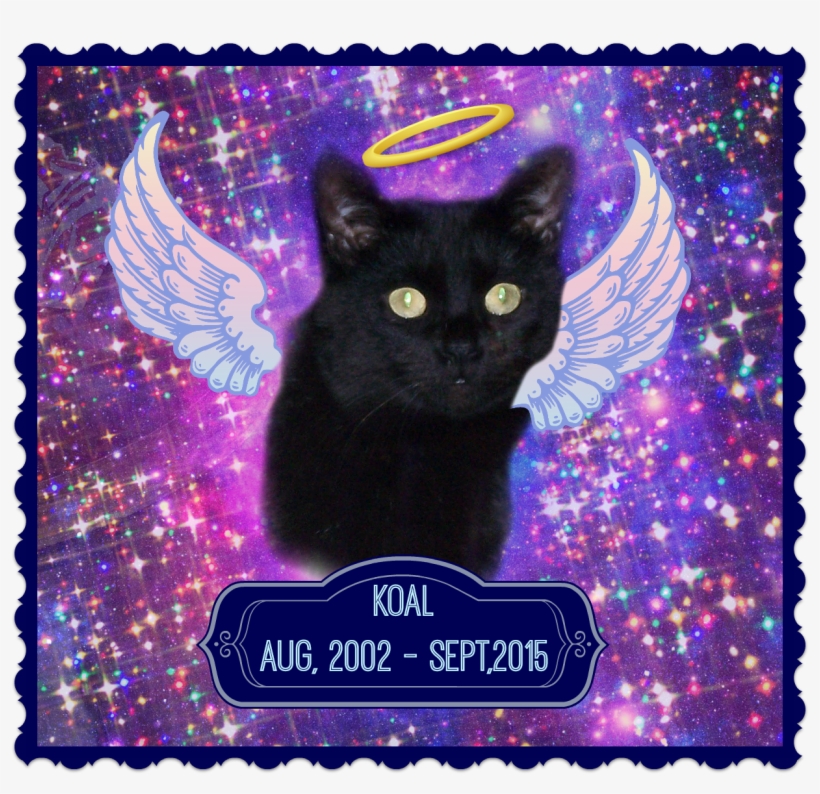 I Didn't Know Koal Very Well, But His Passing Makes - Attaboy Clarence Square Car Magnet 3" X 3", transparent png #5976141