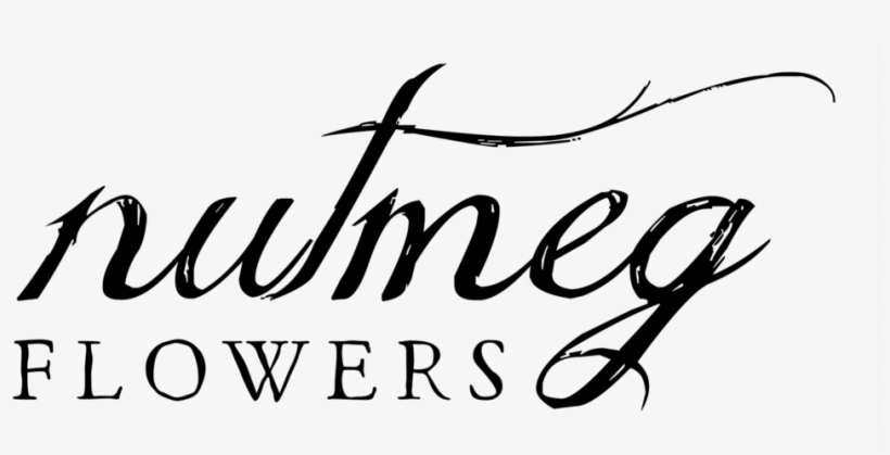 Nutmeg Png, transparent png #5977654