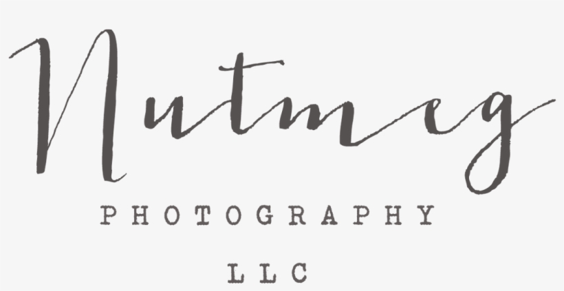 Nutmeg Photography Logo - Blog, transparent png #5977973