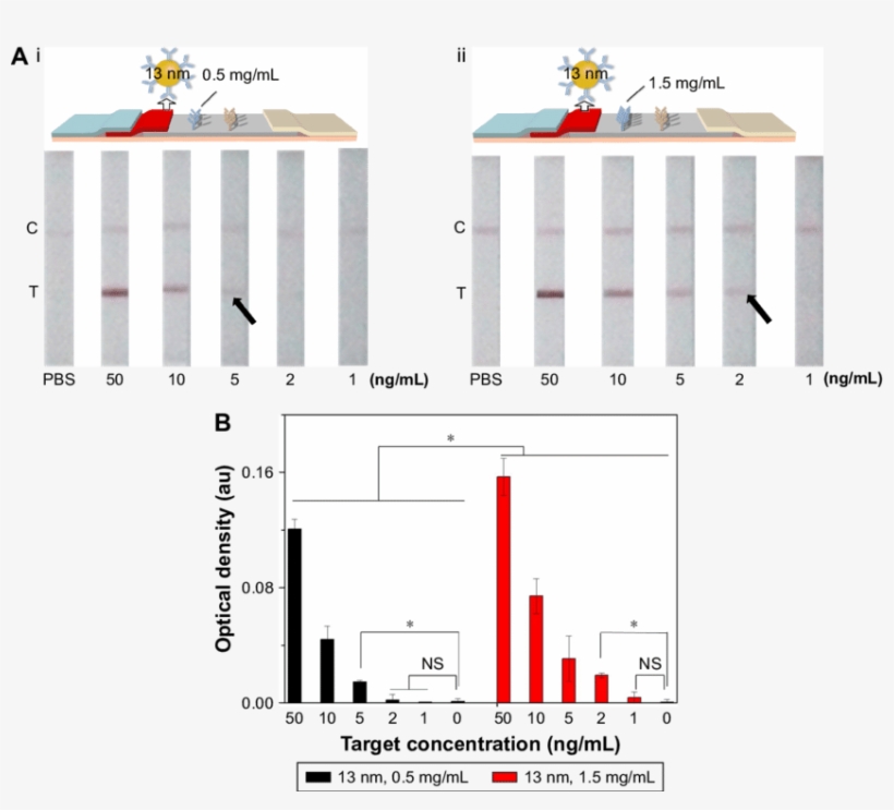 The Effect Of Antibody Concentration At The Test Line - Architecture, transparent png #5979058