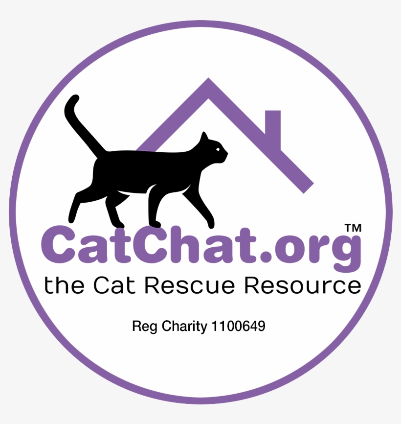 Pr Manager For National Online Cat Rehoming Charity, - Cat, transparent png #5979508
