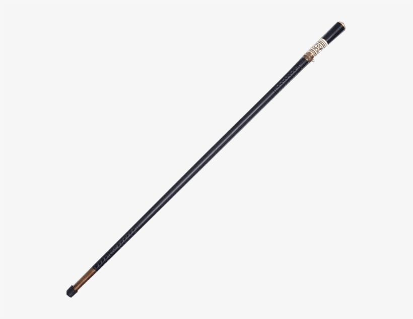 Lion Head Victorian Sword Cane - Shepperd's Rod, transparent png #5980086
