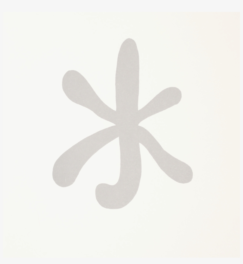 Still Life Photography, transparent png #5980938