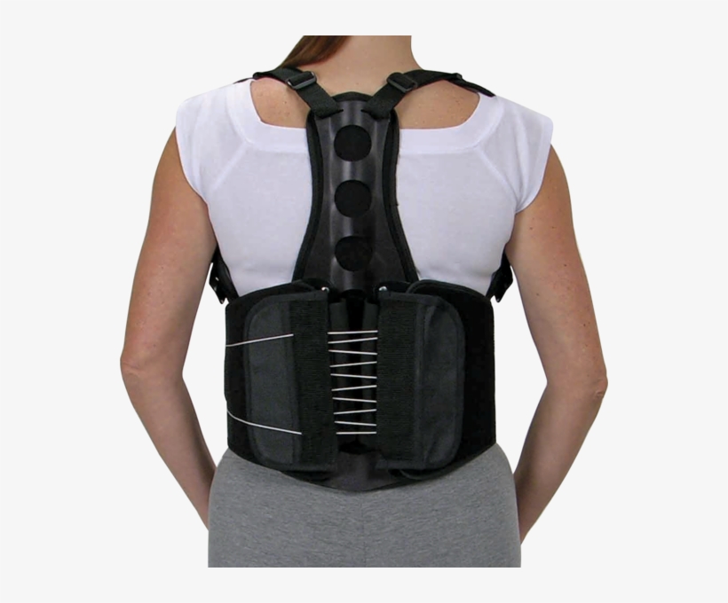 Northeast Orthotics And Prosthetics Orthomerica Eco - Brace For Spine, transparent png #5990643
