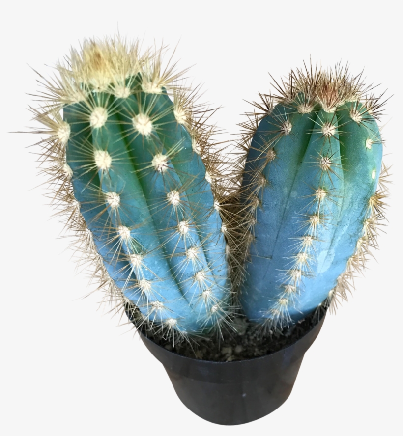 Blue Candle Mini - Blue, transparent png #5992449