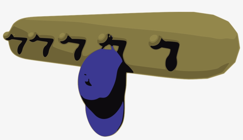 Hat Peg Rack Hat Rack Cap - Coat Pegs Clipart, transparent png #5995695