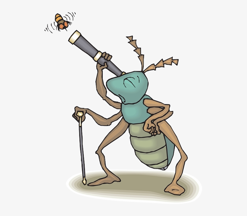 Cartoon, Telescope, Bug, Fly, Flying, Watching, Insect - Science, transparent png #5995750