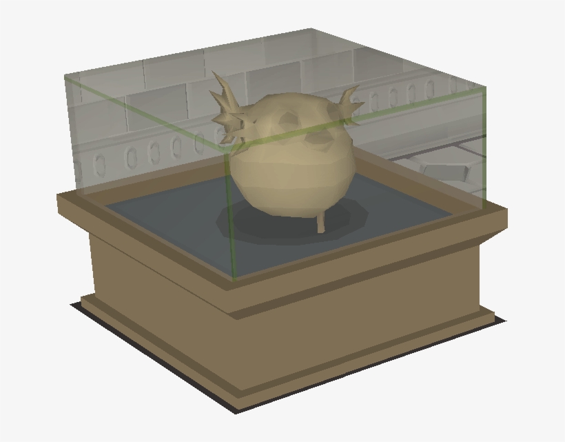 Petrified Pufferfish Display - Pufferfish, transparent png #5997321