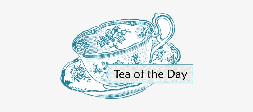Today's Tea Is Ancient Orange - Illustration, transparent png #5997853