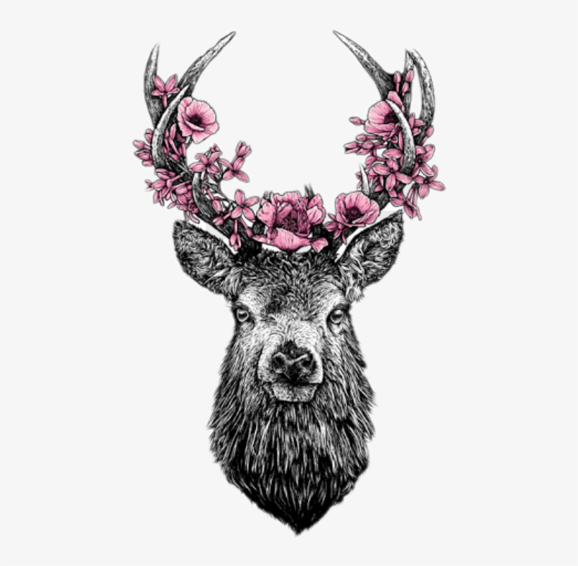 Report Abuse - Transparent Deer Tattoo, transparent png #5998122