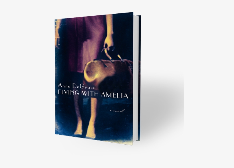 3d Book Large - Flying With Amelia By Anne Degrace, transparent png #5998266