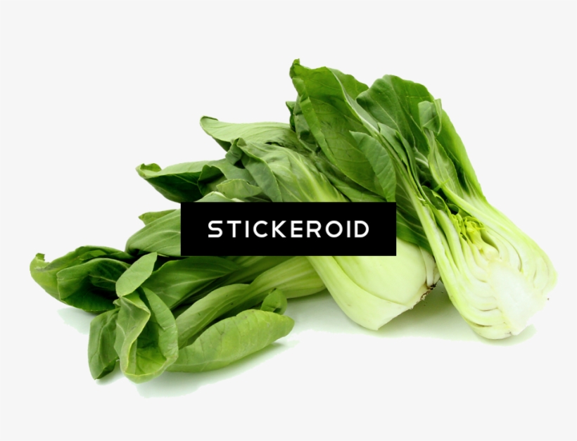 Bok Choy - Sorrel, transparent png #5998439