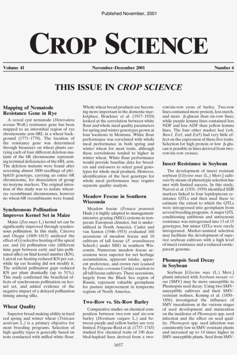 Abstract - Pantaenius, transparent png #5998441