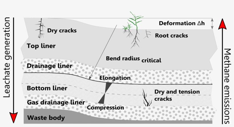 Graphical Abstract - Abstract, transparent png #5998620