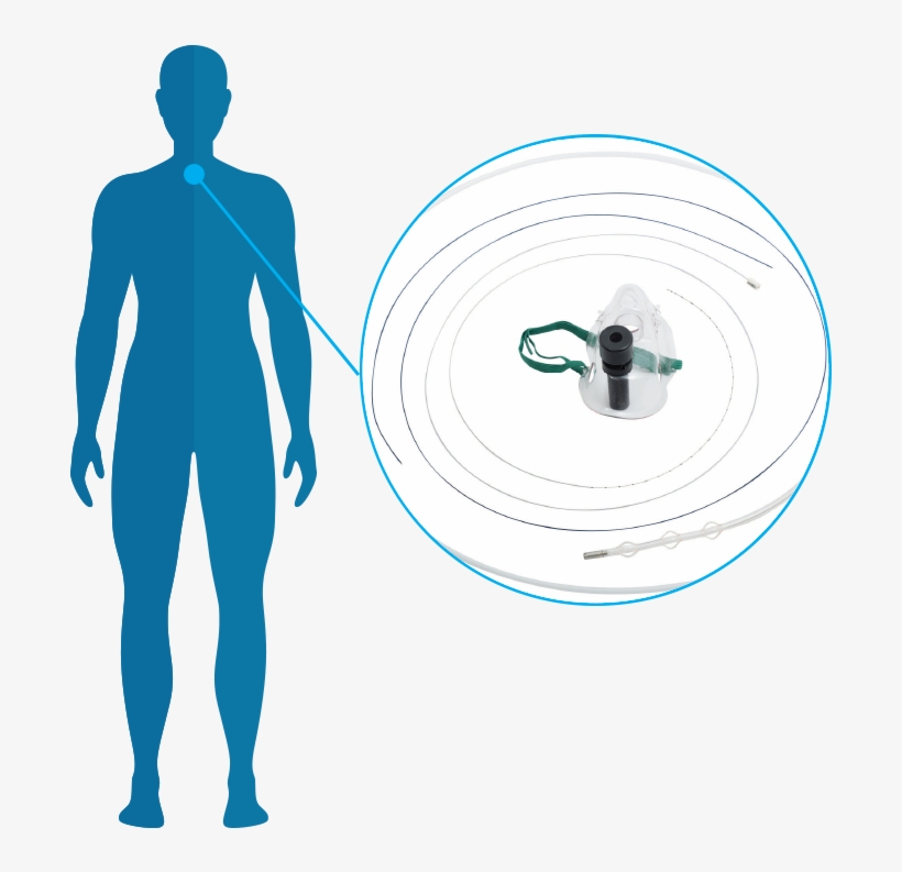 Bronchus And<br>esophagus Applicators - Body-opedia Name That Body Part By Speedy Publishing, transparent png #5998732