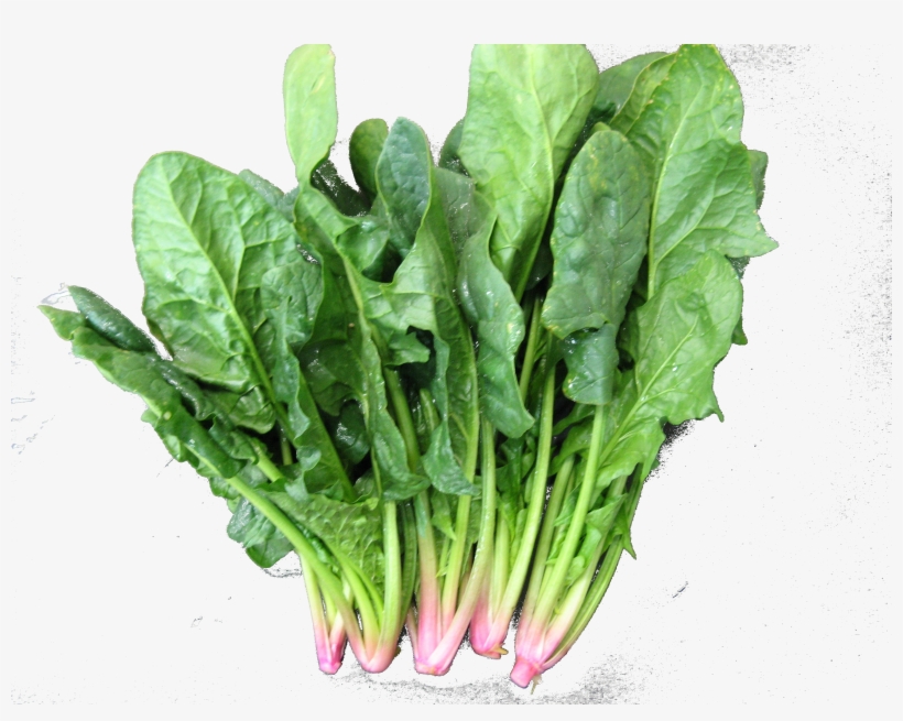 The Problems That Current Nuclear Plants Have - Vegetable, transparent png #5998818