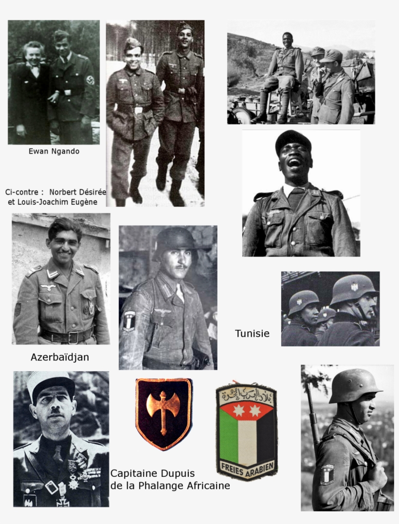 Foreign Volunteers In The Wehrmacht - Black Nazis Ii!: Ethnic Minorities And Foreigners ], transparent png #5998824