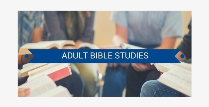 Open Holy Bible Png, transparent png #5998934