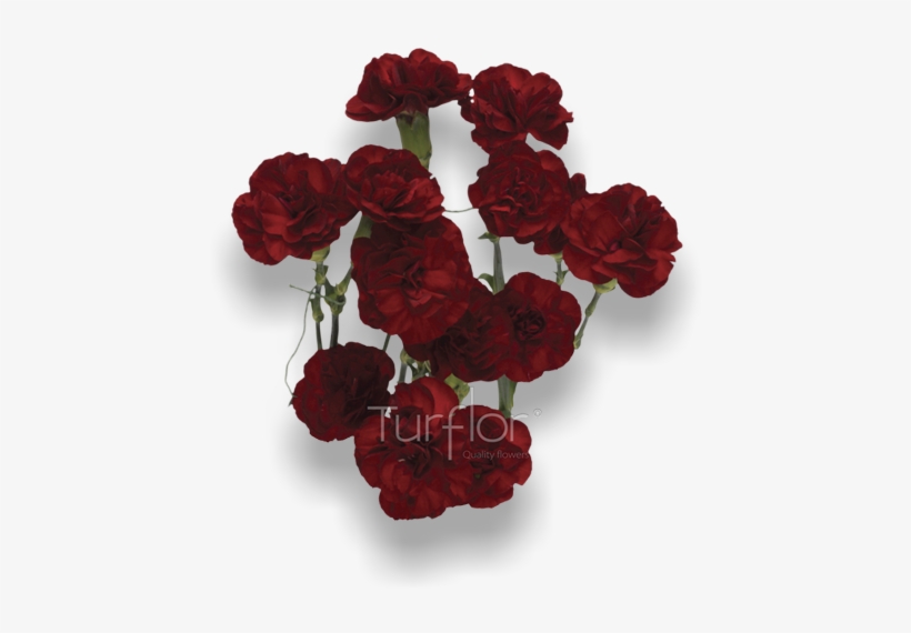 Calgary International Airport, transparent png #5999552