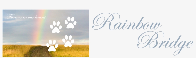 Rb Banner, transparent png #5999772