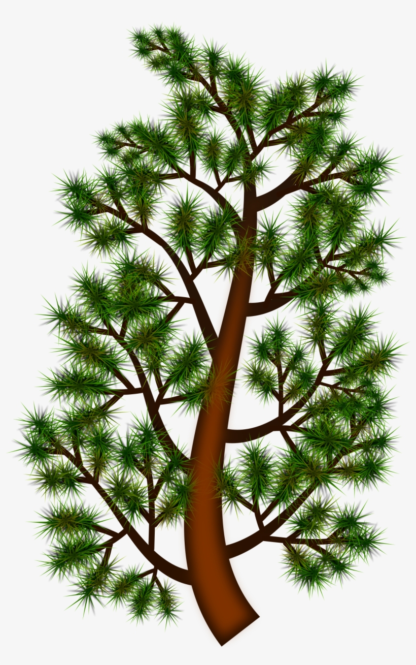 This Free Icons Png Design Of Pine Tree Branch, transparent png #60310