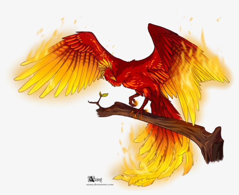 Fire Phoenix Png Png Black And White - Fawkes Phoenix Transparent Png, transparent png #60454