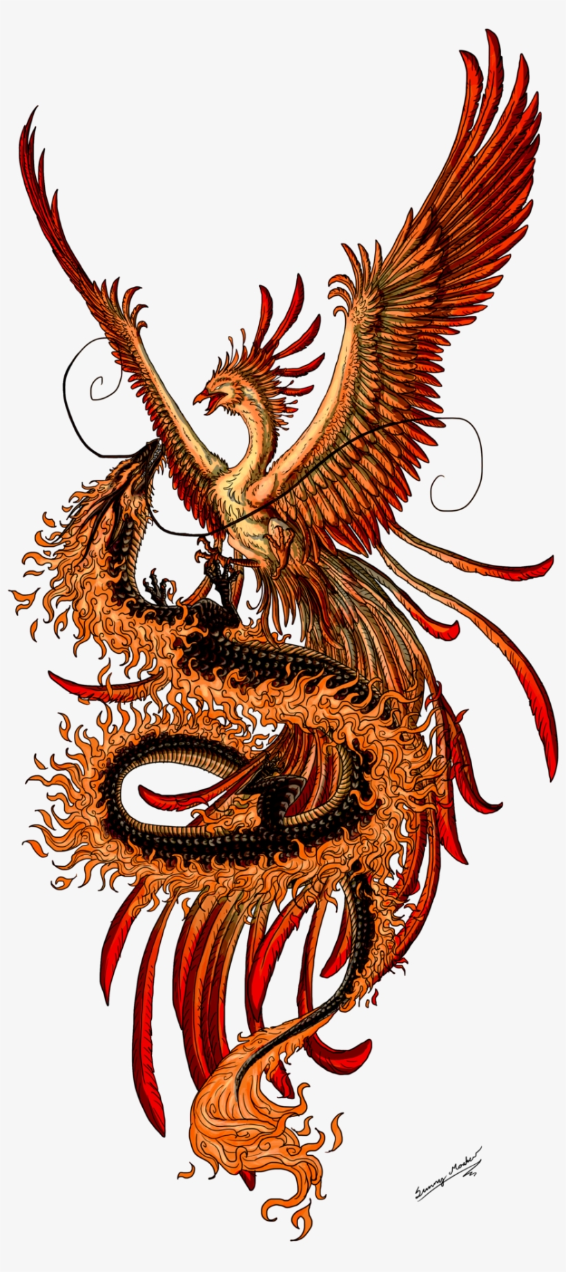 Phoenix Tattoos Png Transparent Phoenix Tattoos - Chinese Phoenix Tattoo, transparent png #60552