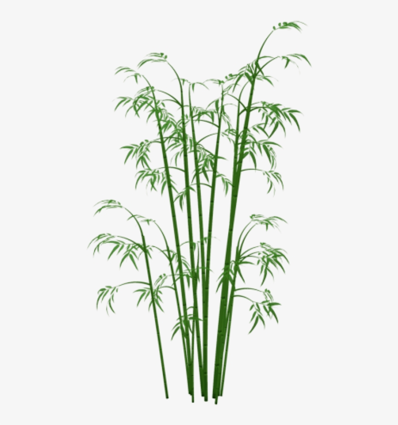 Free Png Bamboo Png Png Images Transparent - Bamboo Png, transparent png #60574