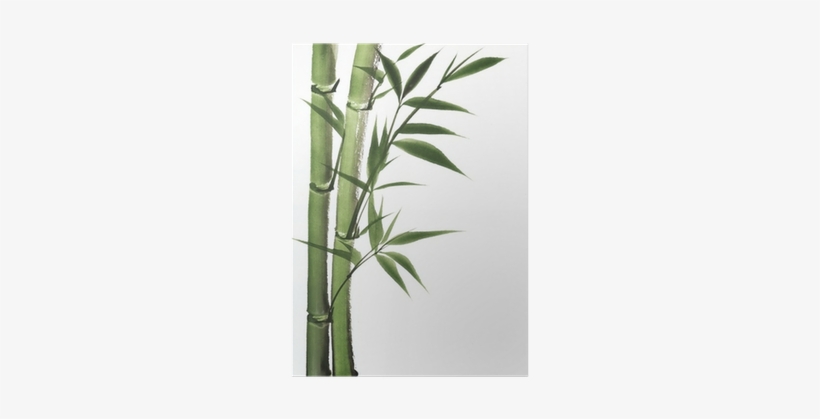 Bamboo Trees Painting, transparent png #60678