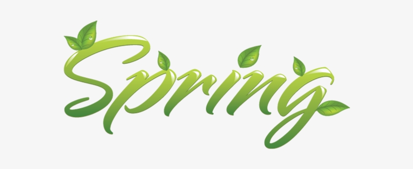 Transparent Pluspng Google Search - Spring Png, transparent png #60680