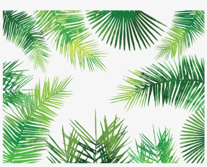 Watercolor Palm Leaves Png - Palm Leaves Pattern Png, transparent png #60797