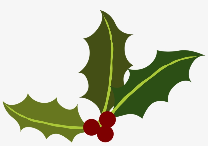 Green Holly Berries - Holly Leaf Png, transparent png #60802