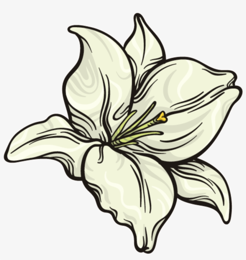 This Graphics Is Snow White Flower Png Transparent - Portable Network Graphics, transparent png #60822