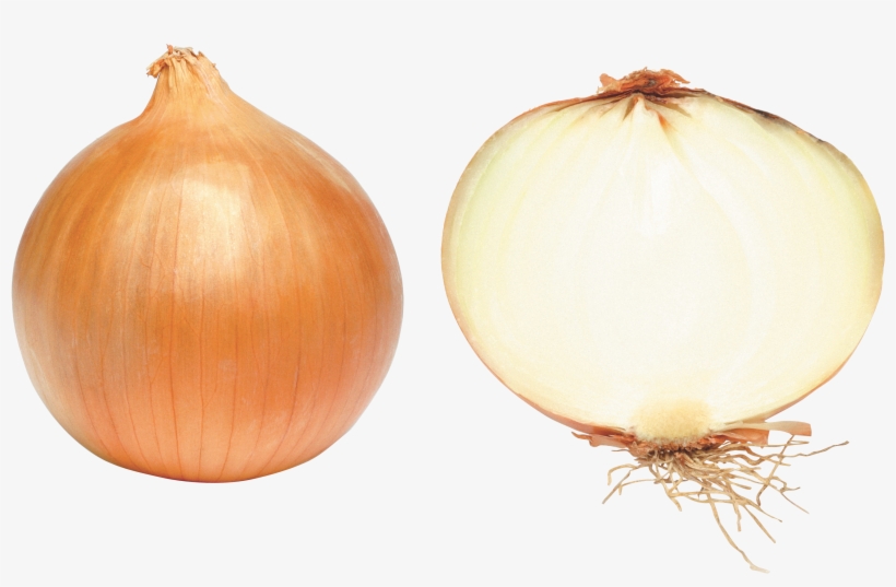 Onion Png Image - Onion Png, transparent png #61041